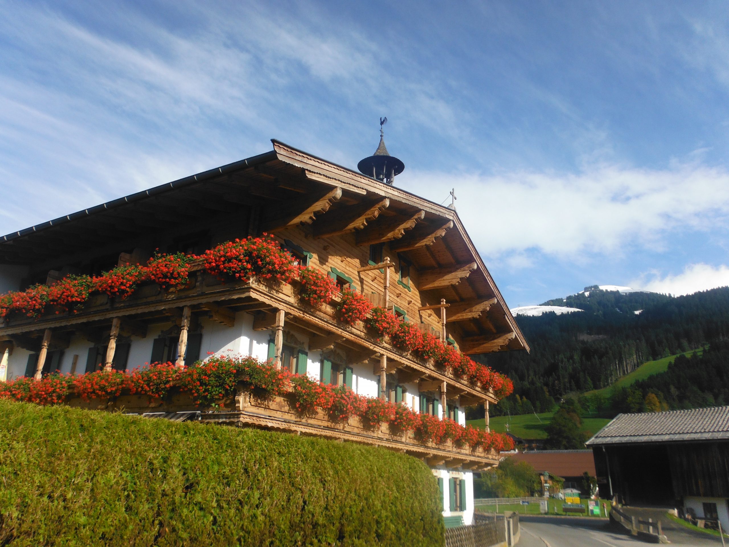 TIROL BBVAE Ours Canada